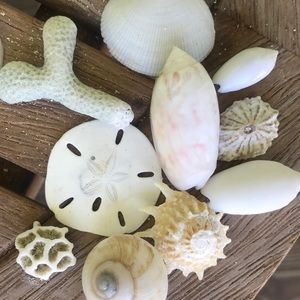 Meet your Posher, Kari